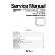 BELINEA HV10 CHASSIS Manual de Servicio